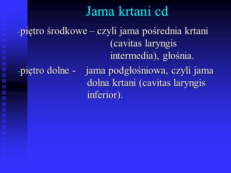 Jama krtani cd piętro środkowe – czyli jama pośrednia krtani    